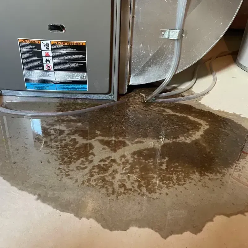 Appliance Leak Cleanup in San Antonio, PR